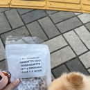 도그바게트 이미지