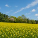 안하농장 이미지