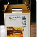 환상의민박 이미지