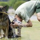 착한강아지 이미지