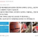 20's(투애니스)뷰티 | 지극히 개인적인: 내가 안사는 화장품 브랜드들