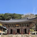 남면한우마을 | 남해 여행 마지막 2일차: 보물섬 한우곰탕, 다랭이 마을 주차, 용문사, 상상양떼목장, 광양 금목서 후기