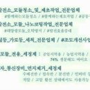 제일솔라 태양광발전소 이미지