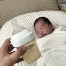 대구 구지현풍 산모도우미 119 후기
