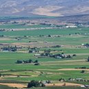 (주)빙키 이미지