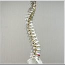 대인제통마취통증의학과의원 이미지