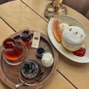 신창 리 하우스 이미지