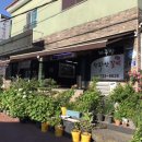 강정동-44 이미지