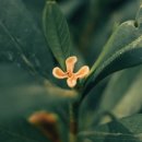 독서감정코칭 이미지