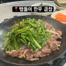 땡돌이한우곱창 | (내돈내산) 대림역 맛집 혼술하기 좋은 소곱창 맛집 땡돌이 한우곱창