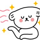 고대영동물병원 이미지