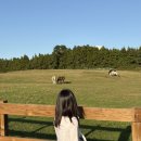 상희목장 이미지