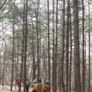 군계농장 이미지