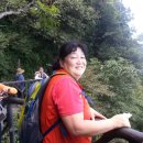 오성 발전소 이미지