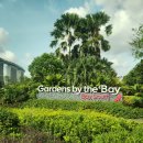 월드플라워 | 가든스 바이 더 베이 쥬라기월드 클라우드 포레스트 플라워돔 후기후기~! (입장권 예매, 12월 쇼퍼트리...