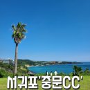 서귀포 &#39;중문CC&#39;, 제주 골프장 예약 방법 코스 후기 (내돈내산)
