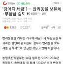 '강아지세금' 반려동물보유세 검토 이미지