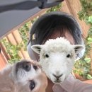 닥터아이씨엘안과의원 이미지