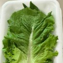 동신참치양재직영점 | (강남/양재) 내돈내산 참치회 주문 2곳 배민/쿠팡이츠 "어육가" vs "동신참치 양재직영점"