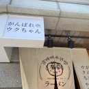 감바레우쿠짱 네이버블로그