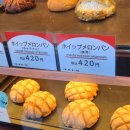 초코아루