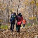 배내골마을공동체지원센터 이미지