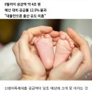 [단독] 집 살 돈 빌려줘도 애 안 낳는다…신생아특례 '반짝 흥행' 이미지