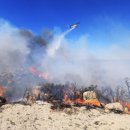 하일목장 이미지