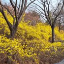 5앤5 당구장 이미지