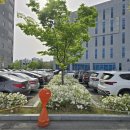 우체국앞 그집 | 📮 감자네 동네 탐방 | '익산영등동우체국' 방문 및 주차 꿀팁