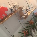 더히포(The hippo) 이미지