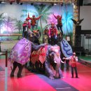 점보빌리지 이미지