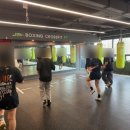 제이복싱 | 분당 복싱 주말에도 가능한 제이복싱 알찬주말 후기