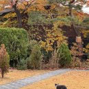 (주)성신바이오 | [재직자전형] 성신여자대학교 경영학과 25학번 재학후기 | 2학년 1학기 시간표 무료공개