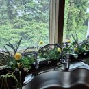 홈인제주 이미지