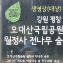 평창 월정사 팔각구층석탑 | 2025.10.8(수) 16:40, 평창 월정사 전나무숲과 팔각구층석탑(국보)