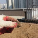 하늘농장1 이미지