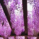 민주작은도서관 이미지