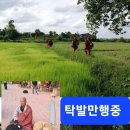 보드가야(BODHGAYA) 이미지