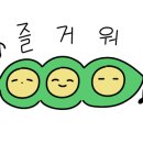 피자알볼로부산시민공원점 이미지