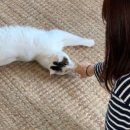 처음처럼 펜션 2 이미지