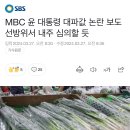 현 정부가 대파에 발작하는 이유 이미지