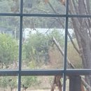 늘솔펜션 이미지