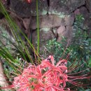 골드원호텔 이미지