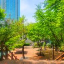 서교어린이공원 화장실 이미지