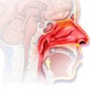 경희삼대한의원 이미지