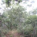 보성우체국 이미지