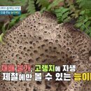 달기약수닭백숙해성 이미지