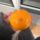 해동택시(주)노동조합 | 2월 | prayer for you 안락하길 기도해드려요 | 이사•당근•맨발의기봉이•끝나지 않는 프로젝트