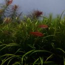 플랜츠비 이미지